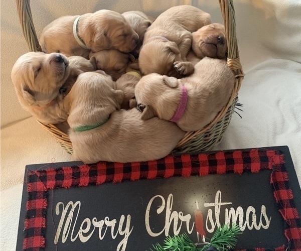 Medium Photo #4  Breeder Profile in LE ROY, MN, USA