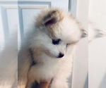 Small #6 Breeder Profile image