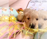 Small #6 Breeder Profile image