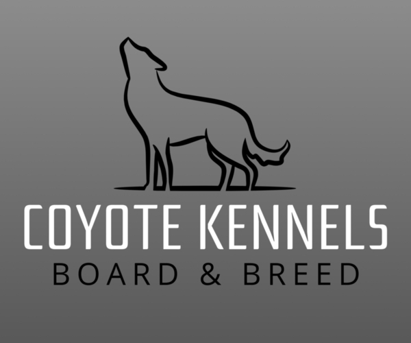 Medium Photo #1  Breeder Profile in OSHOTO, WY, USA
