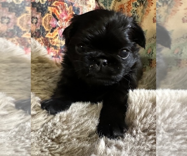 Medium Photo #6  Breeder Profile in PRINEVILLE, OR, USA