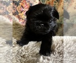 Small #5 Breeder Profile image