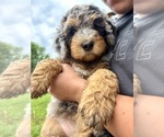 Small #7 Breeder Profile image