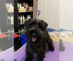 Small #2 Breeder Profile image