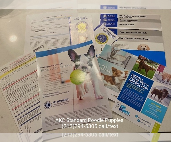 Medium Photo #16  Breeder Profile in BREA, CA, USA