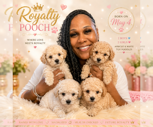Medium Breeder Profile Photo