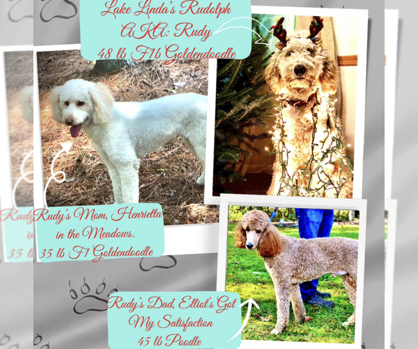 Medium Photo #3  Breeder Profile in HAMPSTEAD, NC, USA