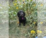 Small #7 Breeder Profile image