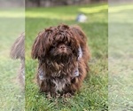 Small #2 Breeder Profile image
