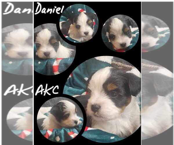 Medium Photo #2  Breeder Profile in FT WORTH, TX, USA
