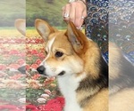 Small #7 Breeder Profile image