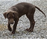 Small #2 Breeder Profile image
