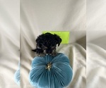 Small #18 Breeder Profile image