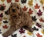 Small #3 Breeder Profile image