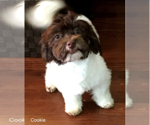 Medium Photo #1  Breeder Profile in SCHOHARIE, NY, USA