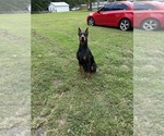 Small #4 Breeder Profile image