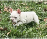 Small #5 Breeder Profile image
