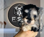 Small #26 Breeder Profile image