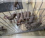 Small #24 Breeder Profile image
