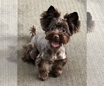 Small #2 Breeder Profile image