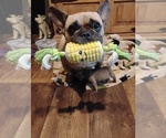 Small Photo #6  Breeder Profile in NEW WAVERLY, TX, USA