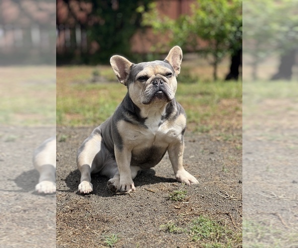 Medium Photo #1  Breeder Profile in TEMECULA, CA, USA