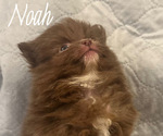 Small #7 Breeder Profile image