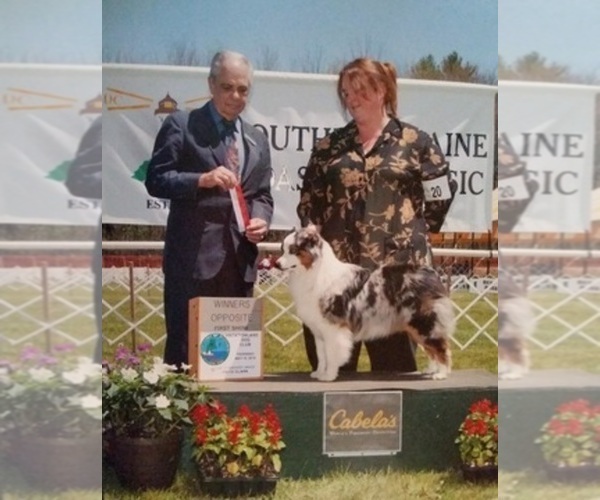 Medium Photo #1  Breeder Profile in GARYSBURG, NC, USA