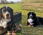 Small #1 Breeder Profile image