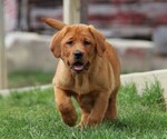 Small #2 Breeder Profile image