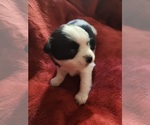 Small #103 Breeder Profile image