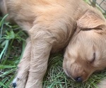 Small #22 Breeder Profile image