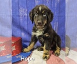 Small #7 Breeder Profile image