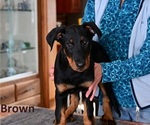 Small #3 Breeder Profile image