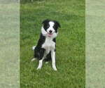 Small #5 Breeder Profile image