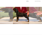 Small #5 Breeder Profile image