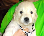 Small #13 Breeder Profile image