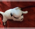 Small #114 Breeder Profile image