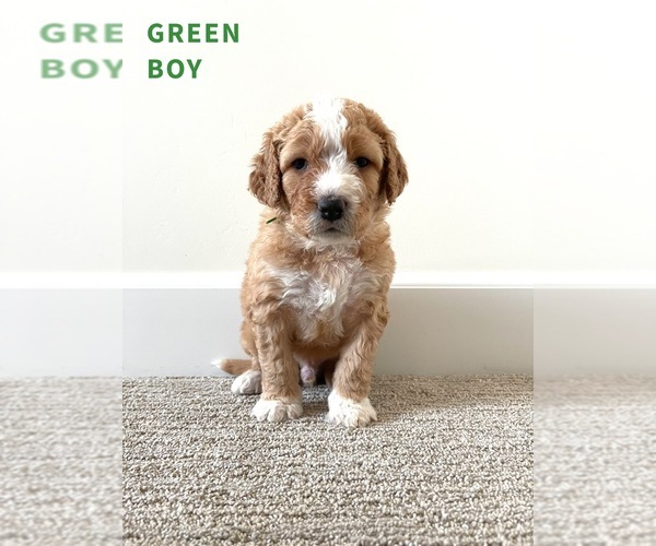 Medium Photo #1  Breeder Profile in ISU, ID, USA