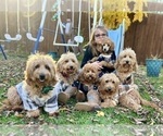 Small #28 Breeder Profile image
