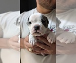 Small #6 Breeder Profile image