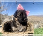 Small #28 Breeder Profile image