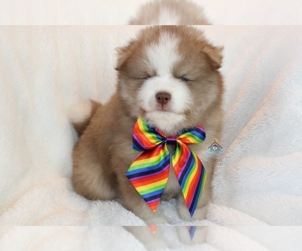 Medium Photo #31  Breeder Profile in BURNS TOWNSHIP, MN, USA