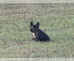 Small #23 Breeder Profile image