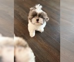 Small #2 Breeder Profile image