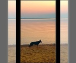 Small #2 Breeder Profile image