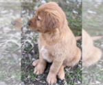 Small #4 Breeder Profile image