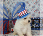 Small #36 Breeder Profile image
