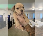 Small #3 Breeder Profile image