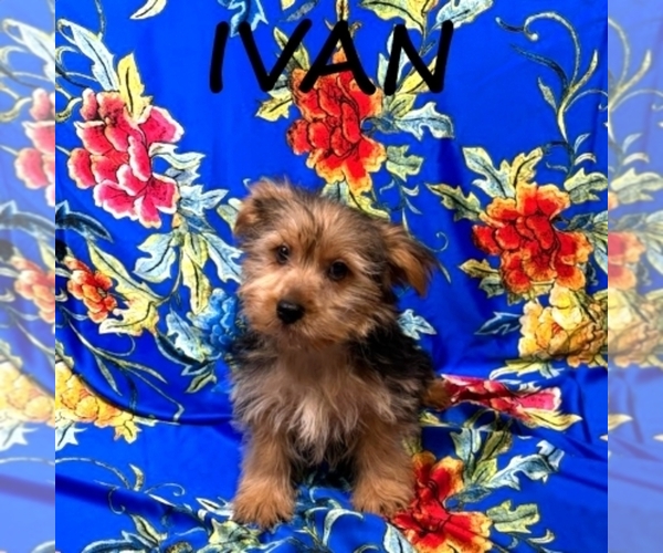 Medium Photo #2  Breeder Profile in HARTLAND, MN, USA